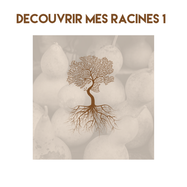 Découvrir mes racines 1 (beginner)
