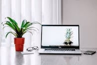 A stylish workspace featuring a laptop, plant, and smartphone on a desk.